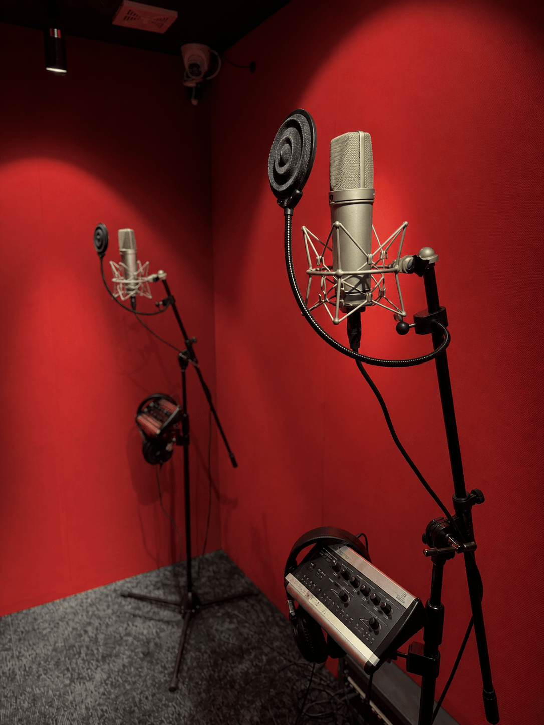 A condenser microphone and pop filter in the vocal booth